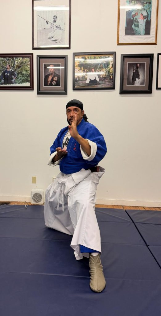 Street Self-Defense Volume 1 Videos