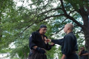 Sanuces Ryu Set 5 Techniques 6-10