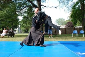 Throws of the Martial Arts Volume 2